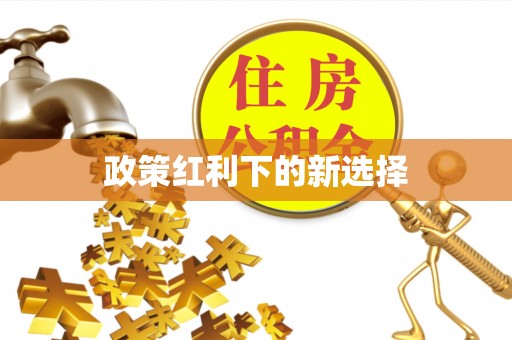 莱芜政策红利下的新选择